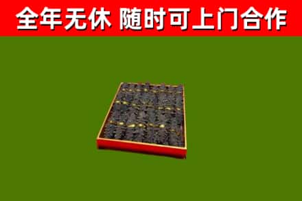 武进回收海参